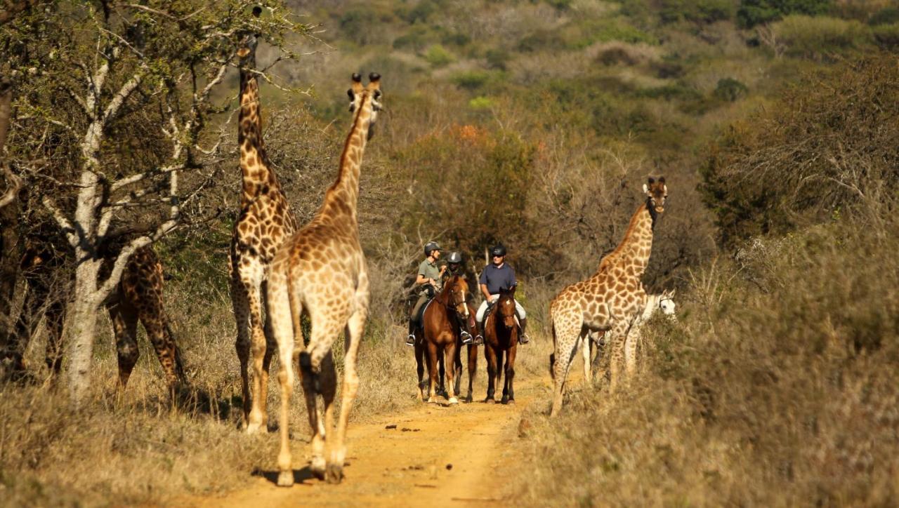 Pakamisa Private Game Reserve Pongola Exterior foto